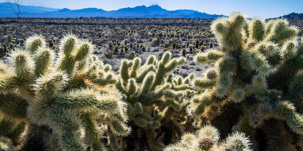 Biden to establish national monuments in Texas and Nevada - Vimarsana News