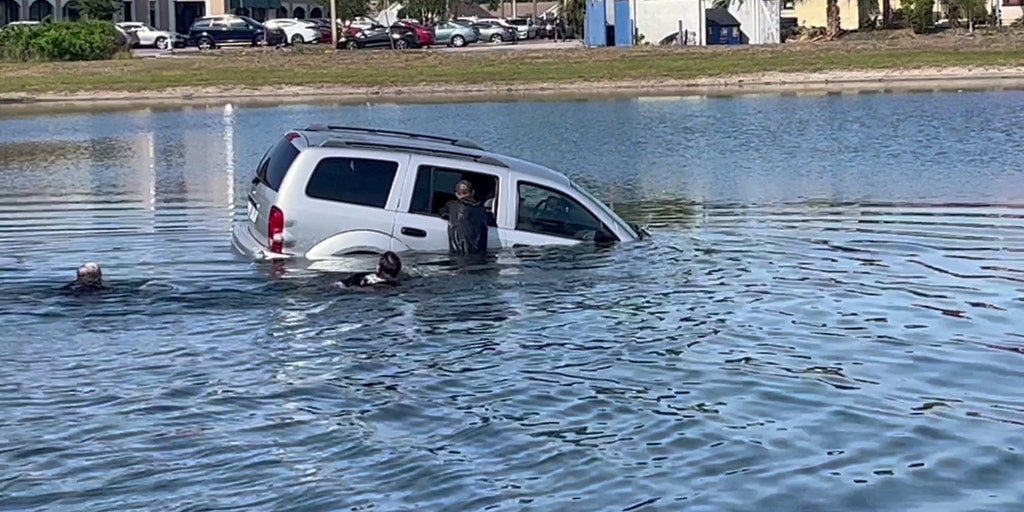 Florida first responders rescue elderly man, 2 dogs out of sinking SUV - Vimarsana News