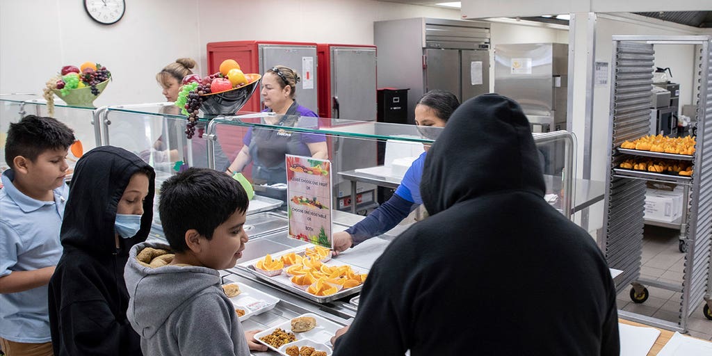 Schools say American kids are hungry as institutions face debts for unpaid meals - Vimarsana News
