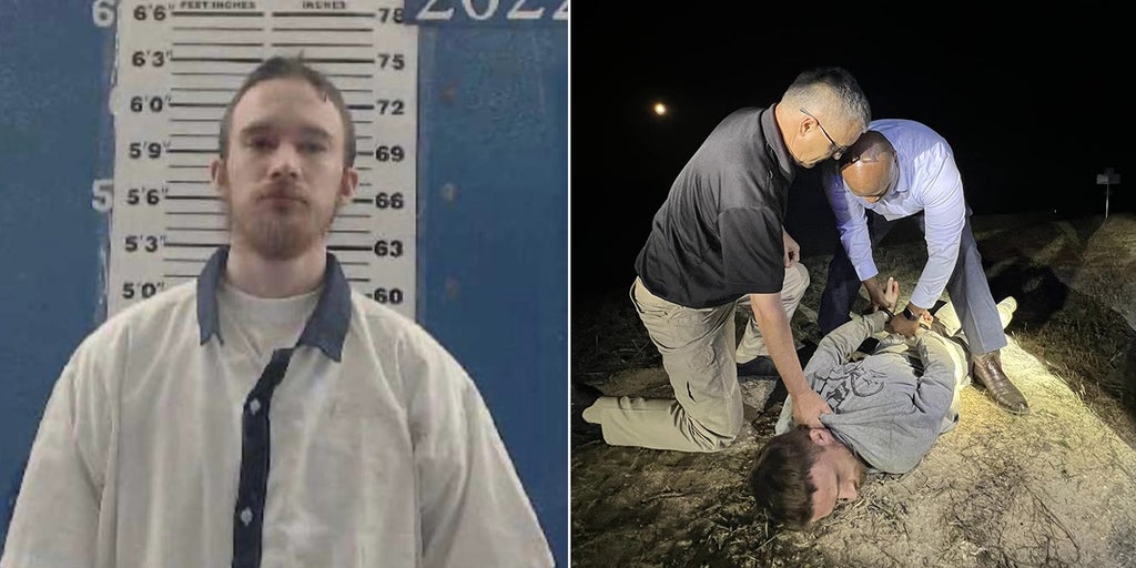 'Dangerous' Georgia escapee captured after leaving work detail, sheriff says - Vimarsana News