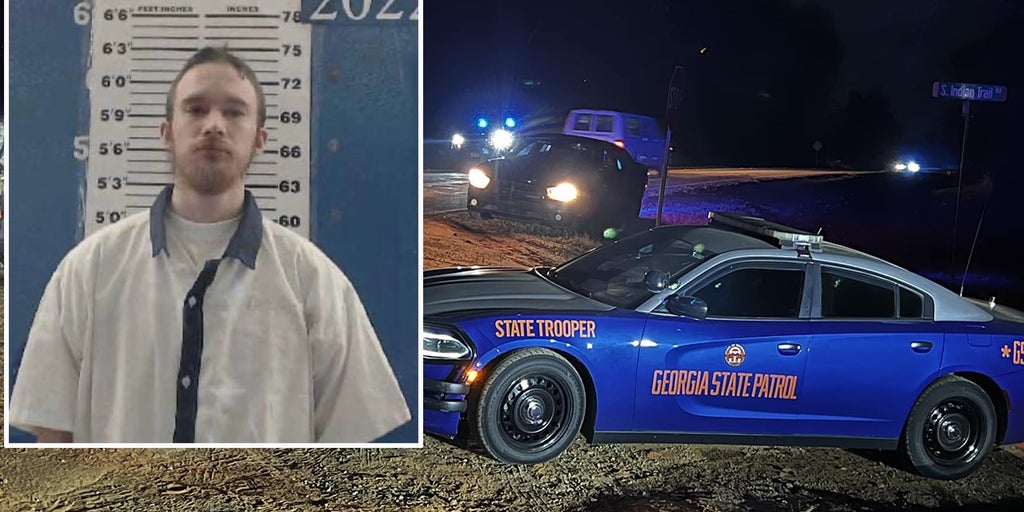 Manhunt in Georgia for 'dangerous' inmate who left work detail, authorities say - Vimarsana News