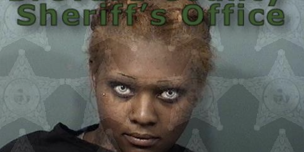 Florida woman allegedly threatened McDonald's employees with gun over missing menu item: police - Vimarsana News