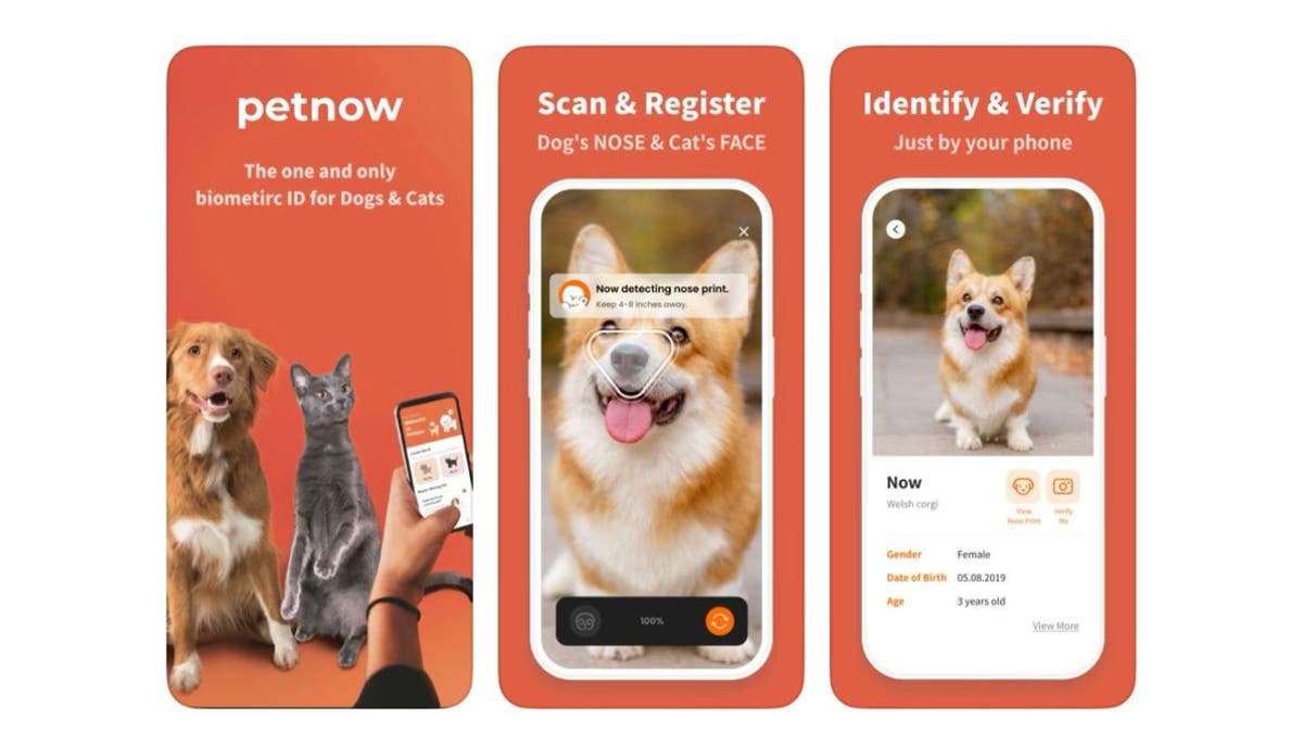 Dog hotsell identification app