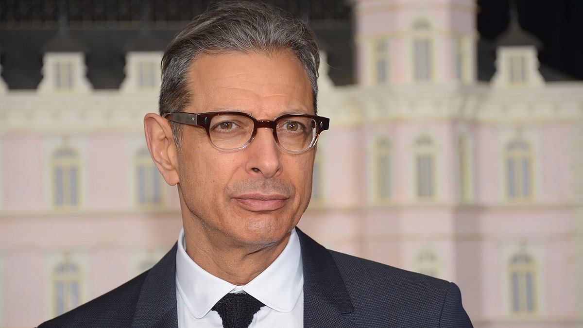 Jeff Goldblum at "The Grand Budapest Hotel" premiere in New York