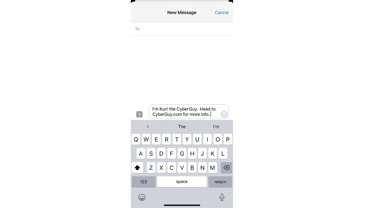 Screenshot of initial message screen on iPhone