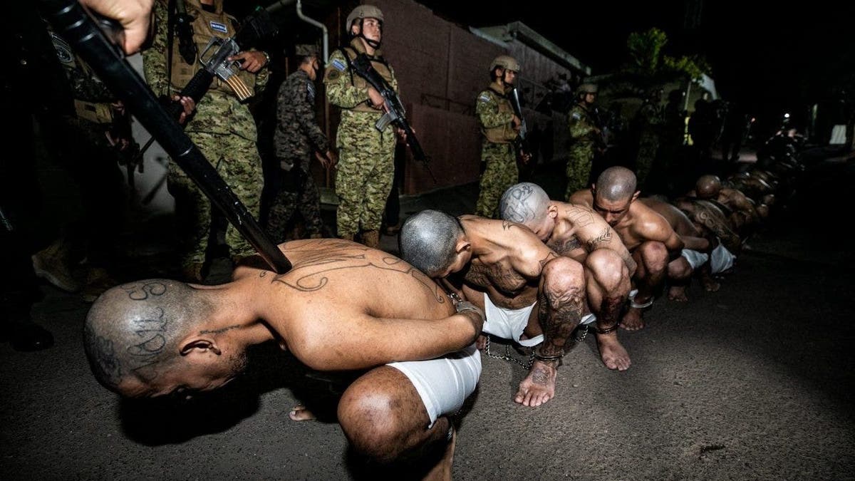 Gang members wait to be taken to their cell after 2,000 gang members were transferred to the Terrorism Confinement Center in Tecoluca, El Salvador, in this handout photo distributed to Reuters on March 15, 2023.