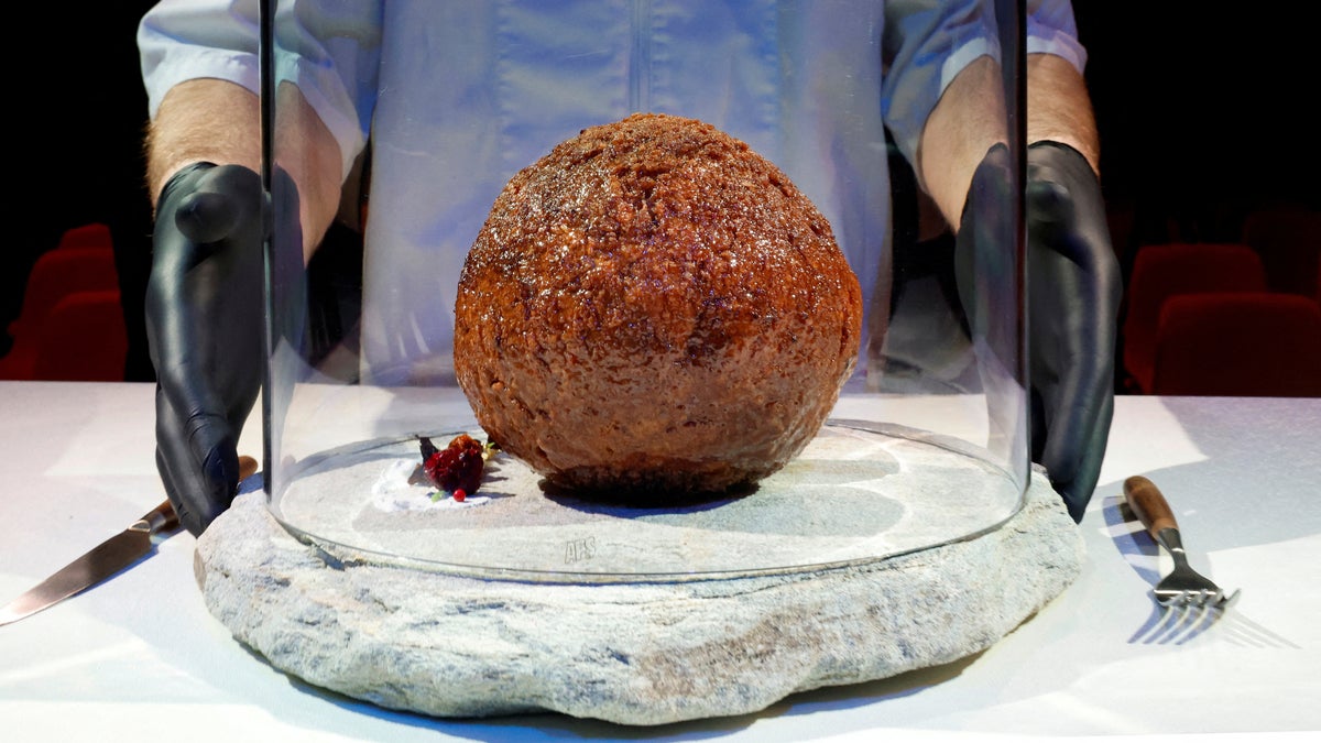 Dutch researchers make giant meatball using mammoth DNA | Fox News