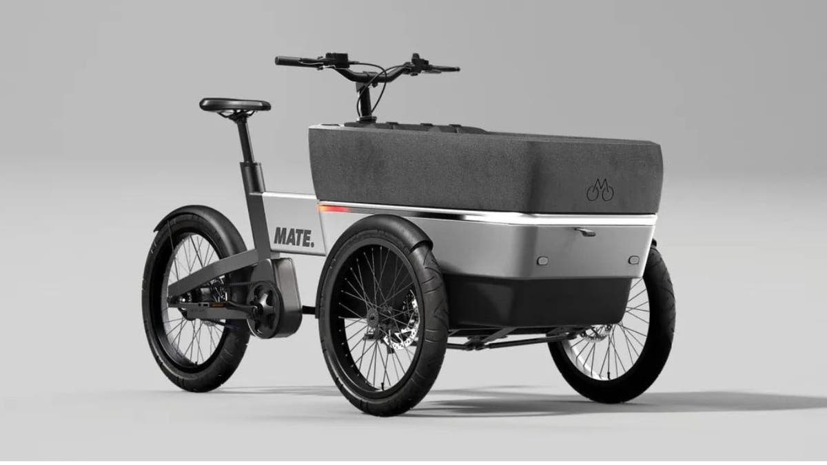 Mate electric cargo bike