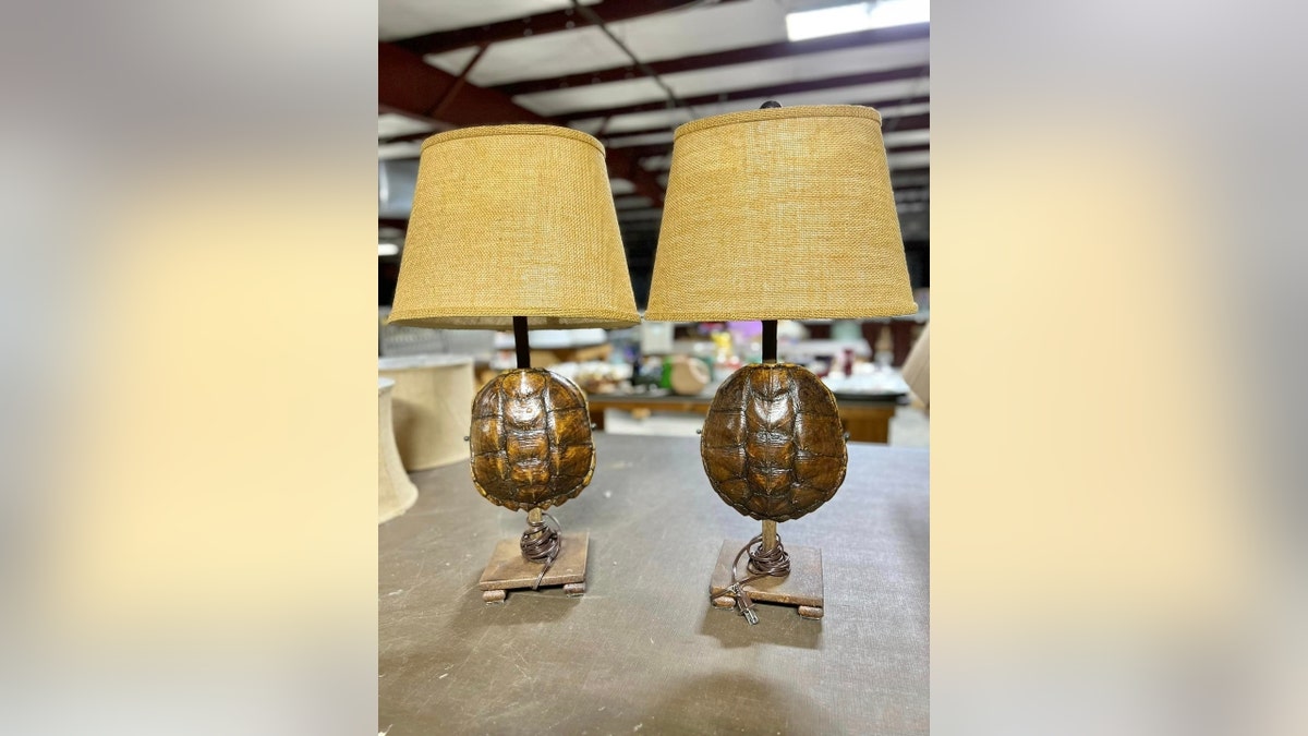 Murdaugh family's turtle shell lamps