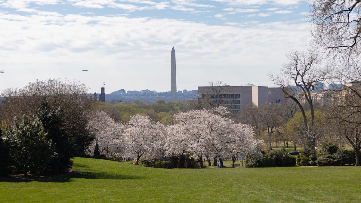Washington monument in distance 