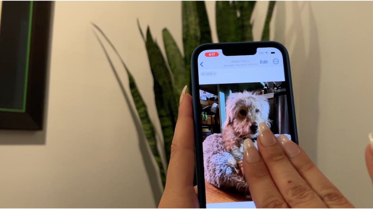 Woman places two fingers on iPhone message screen