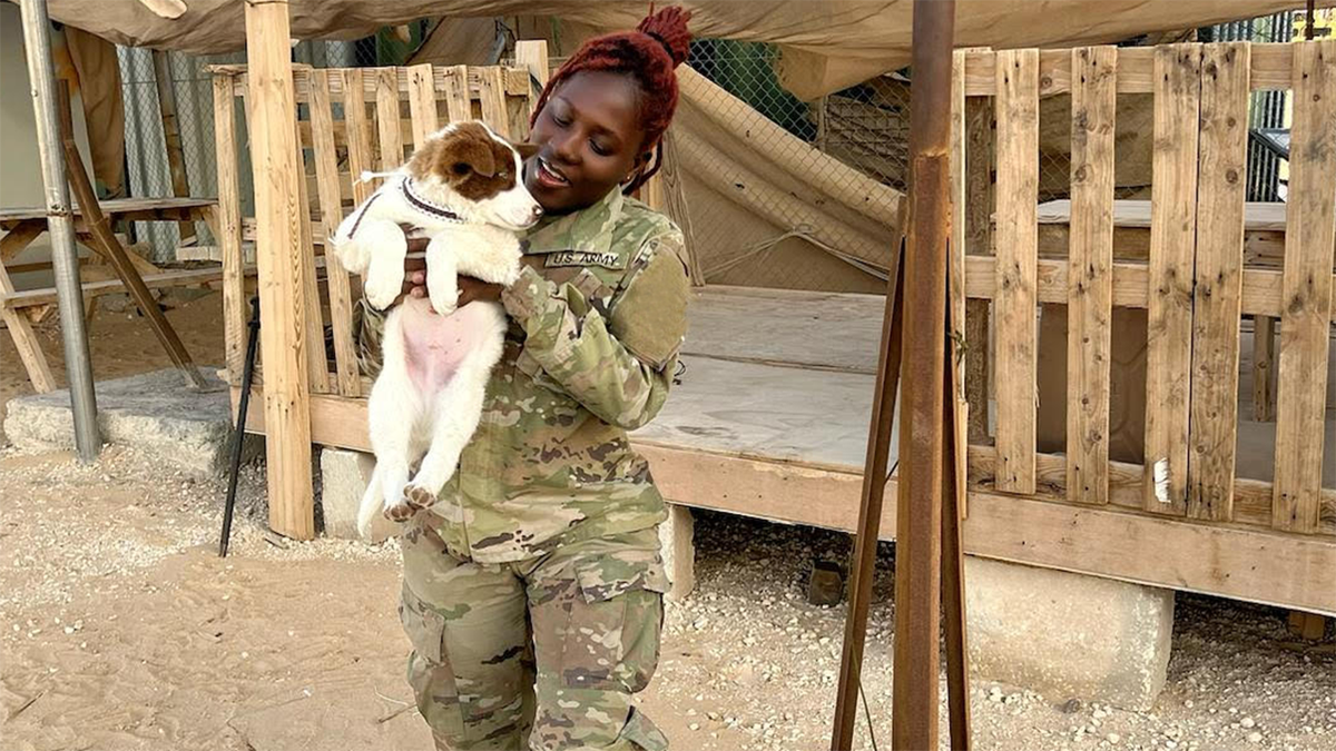 us army specialist puppy