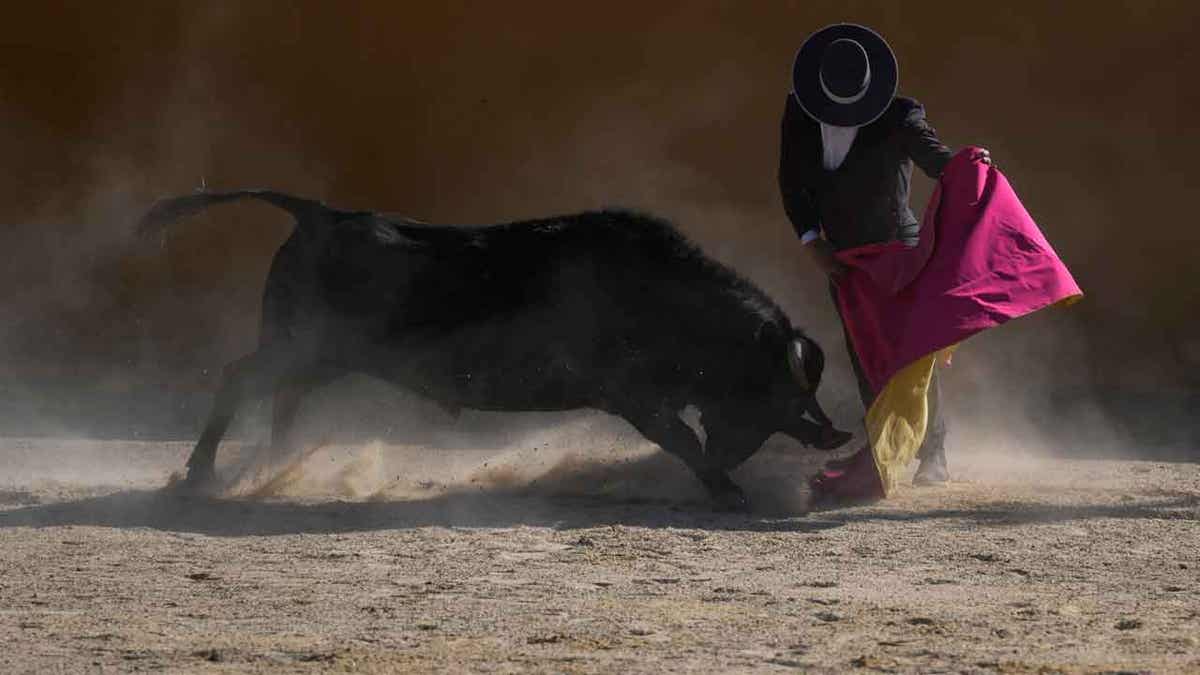 Colombia Set To Vote On Bullfighting Ban In The Coming Weeks | Fox News