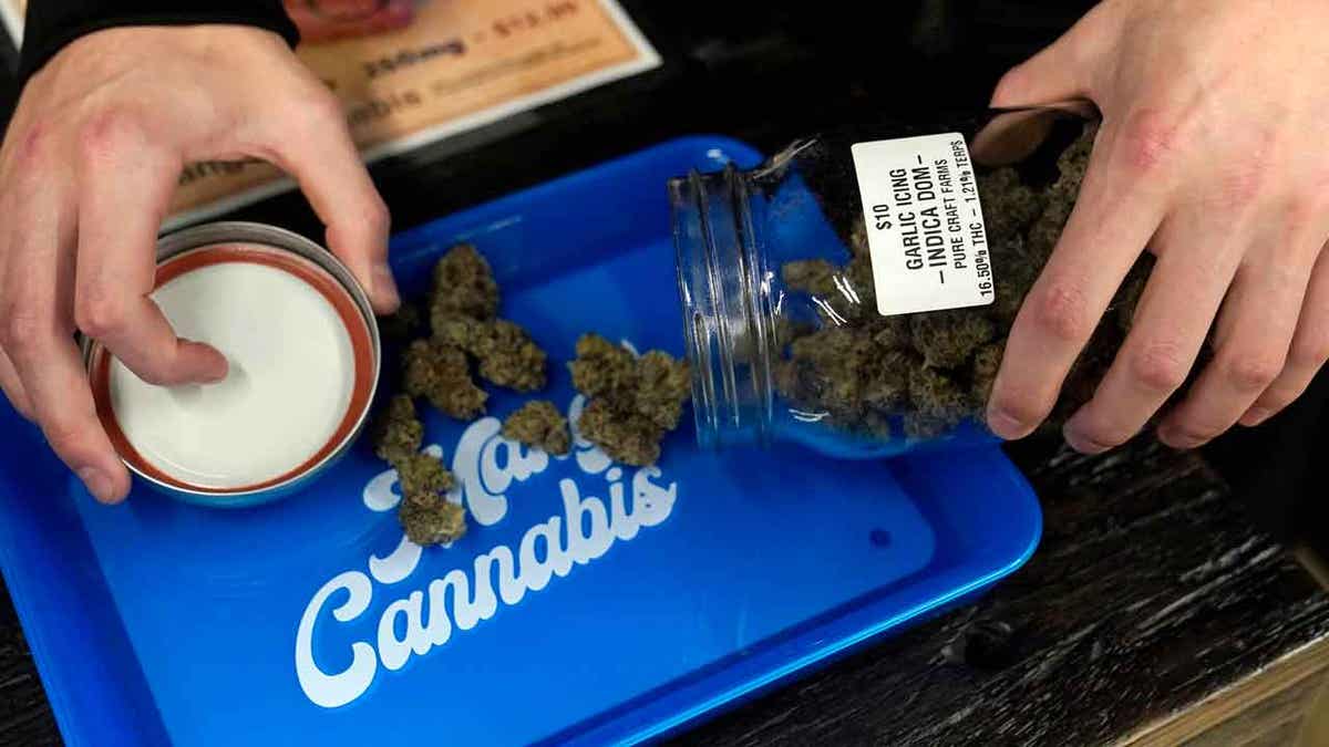 Marijuana on tray