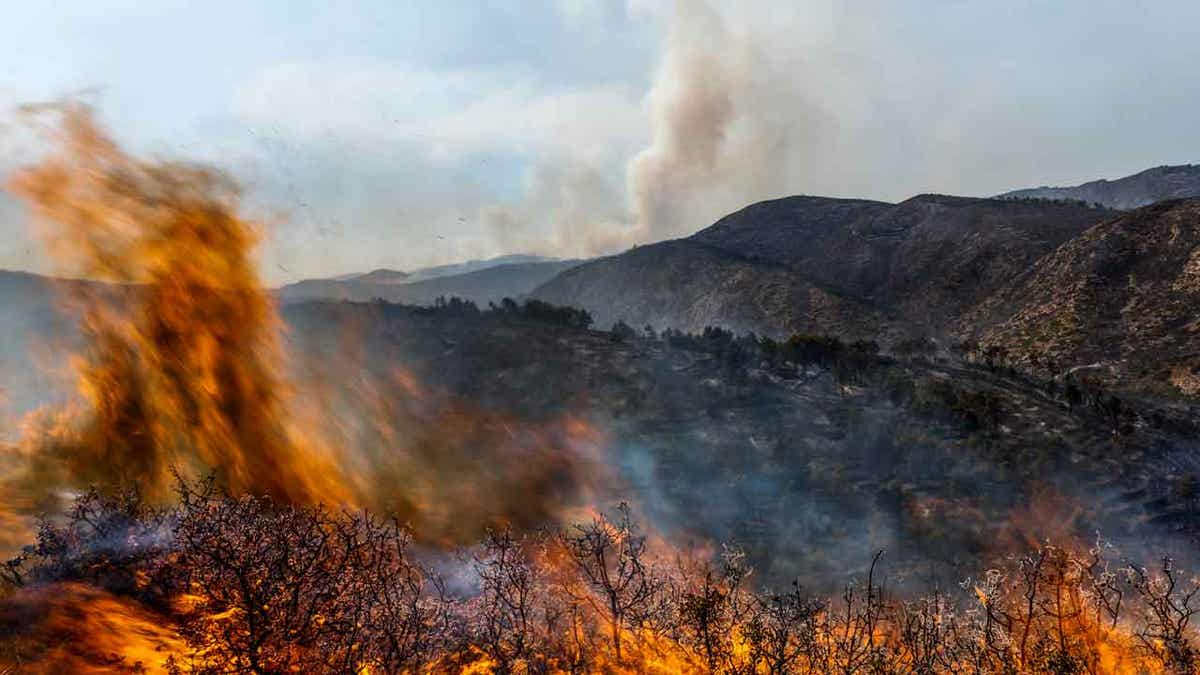 A wildfire burns near Altura, Spain, on Aug. 19, 2022. Spain has officially entered a period of a long-term drought and is likely faces another year of heatwaves and forest fires.