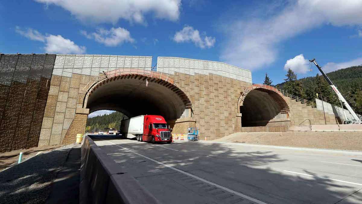 Eastbound Interstate 90 traffic passes beneath a wildlife bridge 