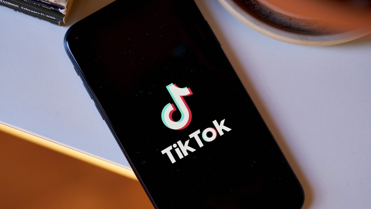 The TikTok on a logo on a smartphone