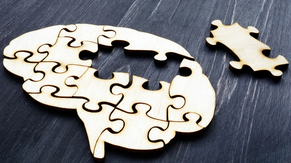 A brain-shaped puzzle on a table