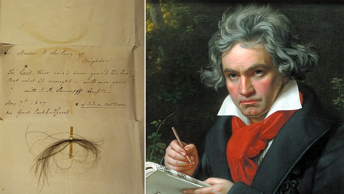 DNA from Beethoven's hair reveals new details into his cause of death over  a century later: study