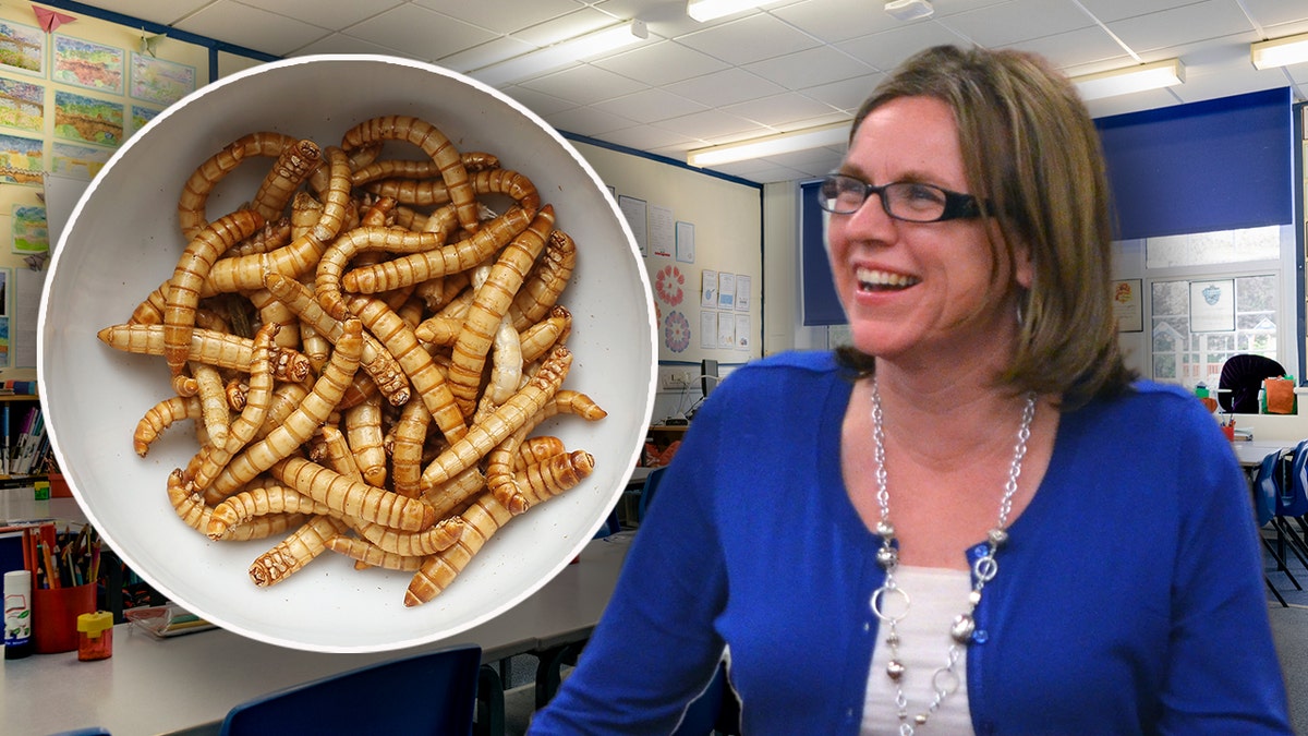 Mom vows to take action after teacher encouraged her daughter to eat insects for climate change project