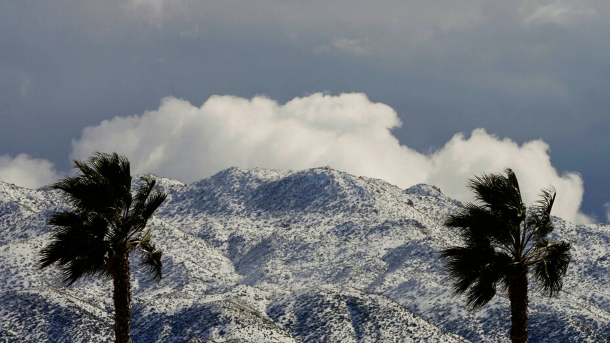 Two palms trees are backdropped by snow-covered mountains