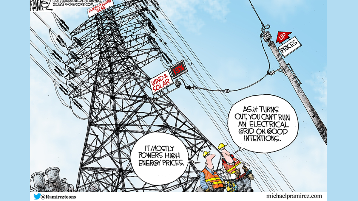 Political Cartoon