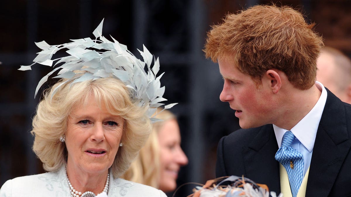 Camilla stands next to a young Prince Harry
