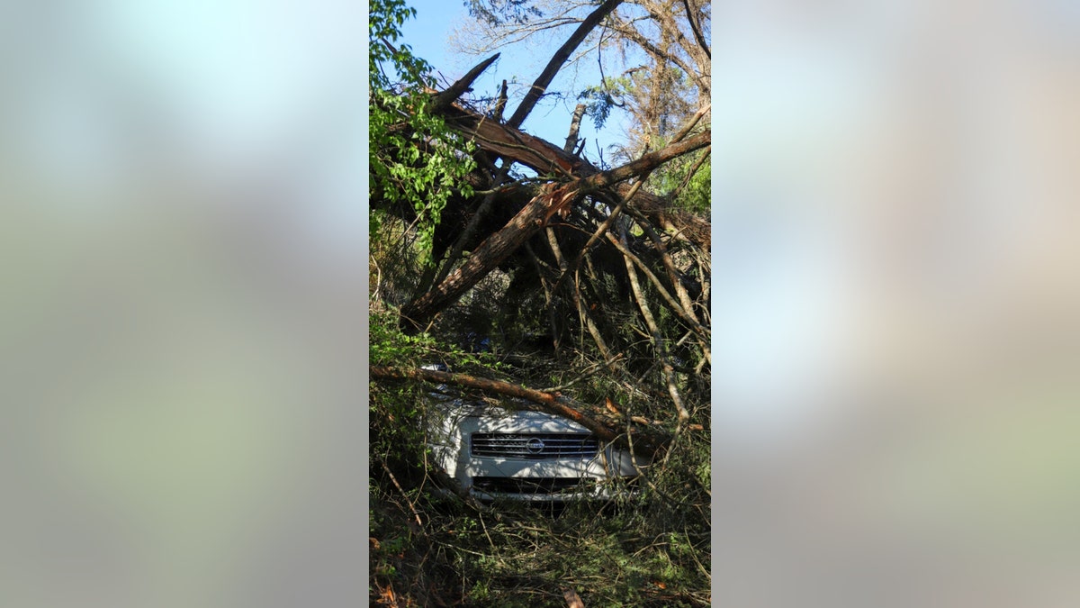 A Tennessee car under a fallen tree