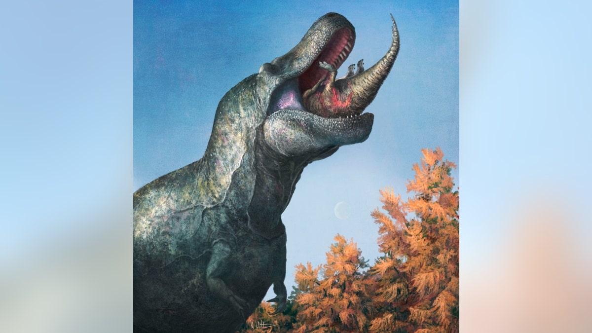 An illustration of a juvenile Edmontosaurus being eaten by a Tyrannosaurus rex with a lipped mouth