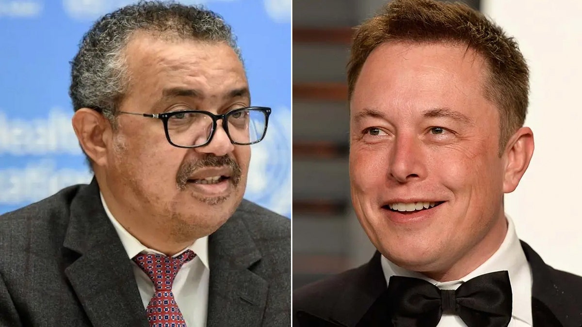 Elon Musk, right, and Tedros Adhanom Ghebreyesus, director-general of World Health Organization