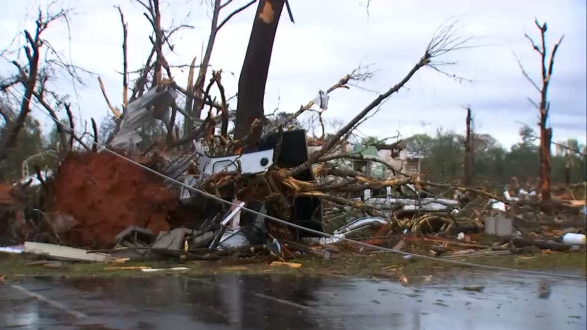 An uprooted tree and downed power lines in Troup County, Georgia, after a tornado touched down early Sunday.