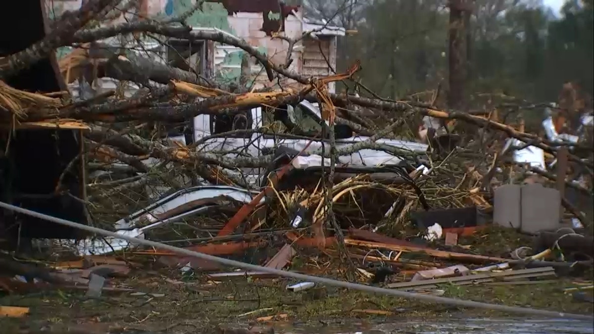 Downed tree from Georgia tornado