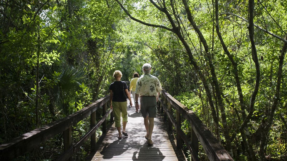 Fakahatchee Strand Park