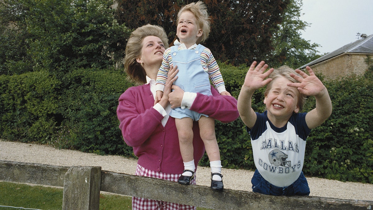 Princess Diana with Princes Harry and William