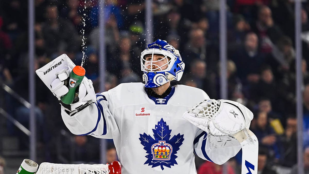 Ex-NHL goalie suspended 5 games from Swedish Hockey League after