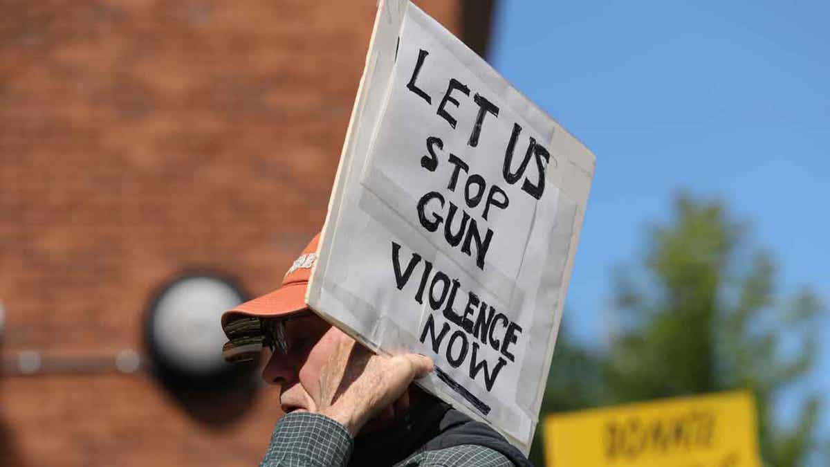 Pennsylvania gun control protestor