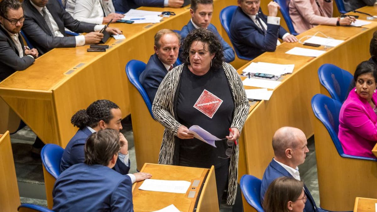 Dutch elections protest 