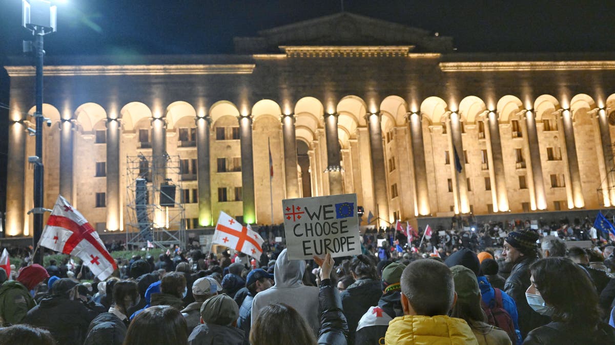 Georgian protesters in Tblisi
