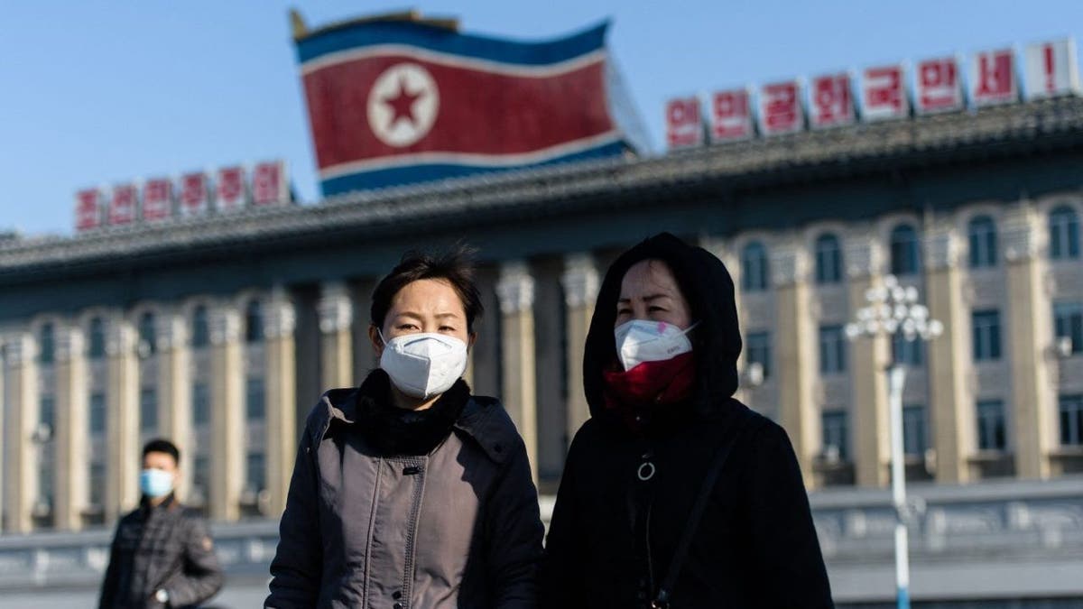 North Koreans masked in capital