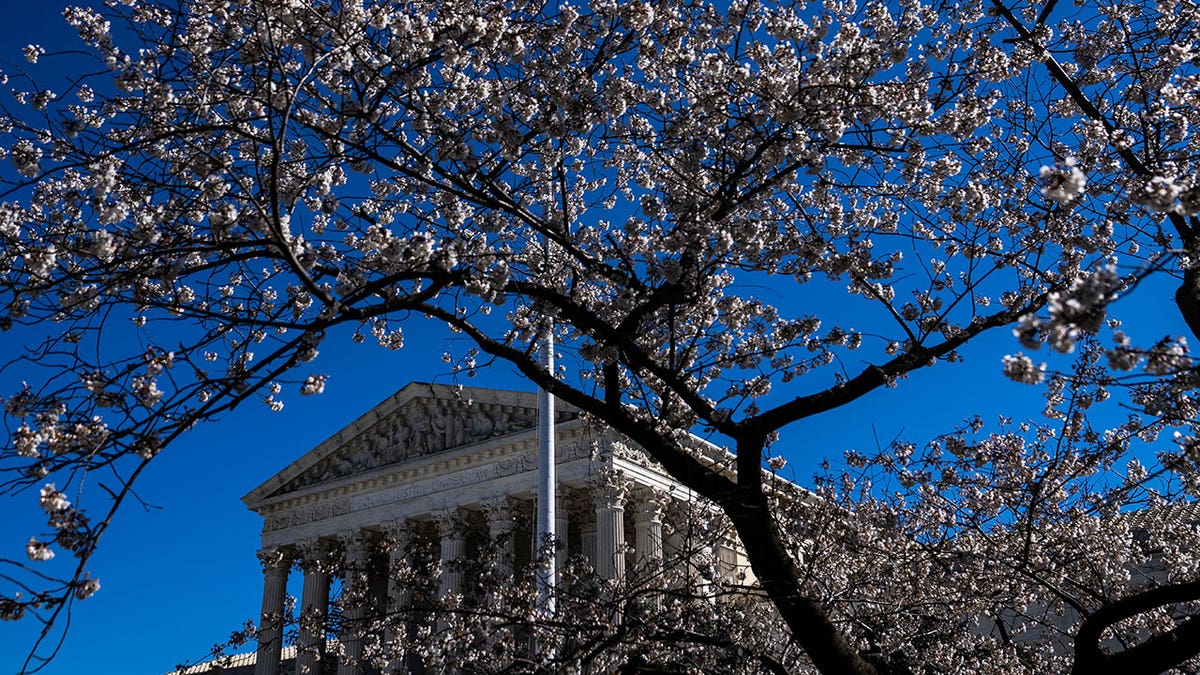 Supreme Court building by cherry blossom trees