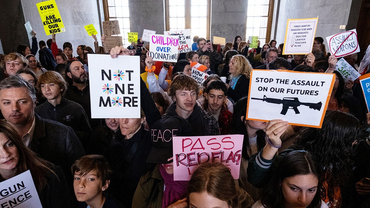 Tennessee Capitol protesters