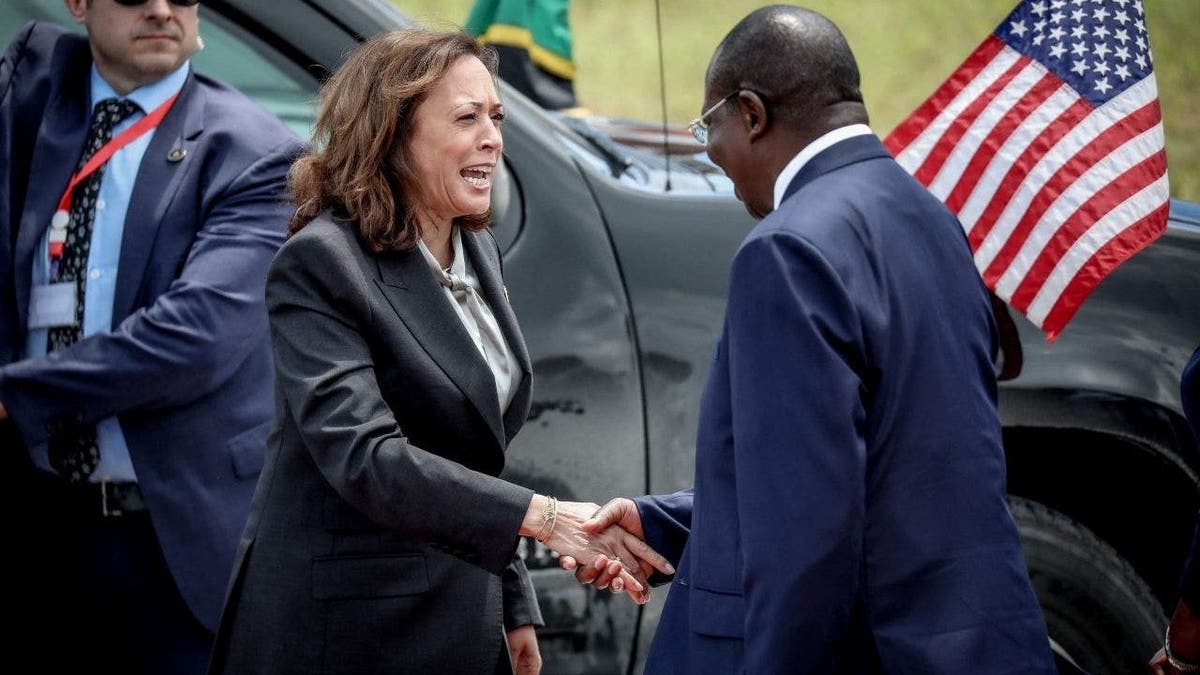 Vice President Kamala Harris (C) shakes hand with Tanzania's Vice President Dr Philip Mpango