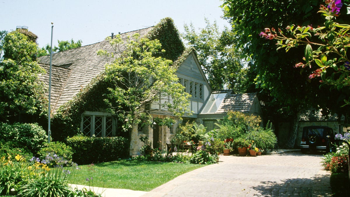 Landscaped yard with house covered in ivy