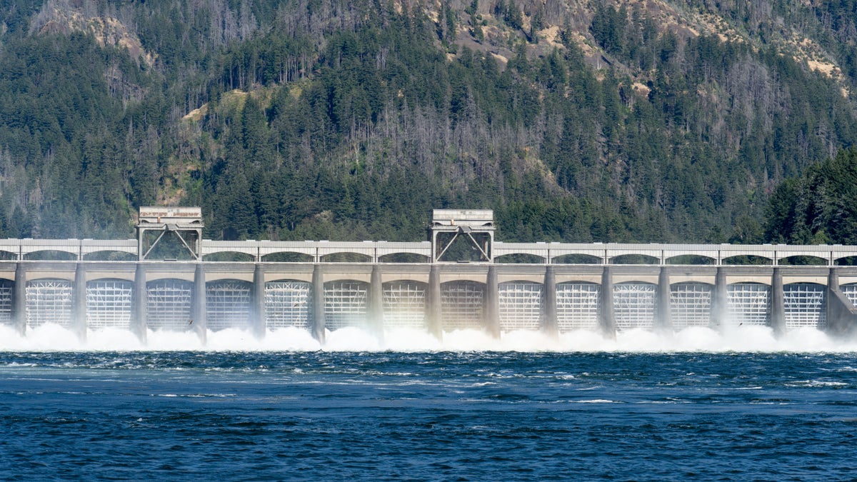 Bonneville Dam, Washington-Oregon. (Photo by: Marli Miller/UCG/Universal Images Group via Getty Images)