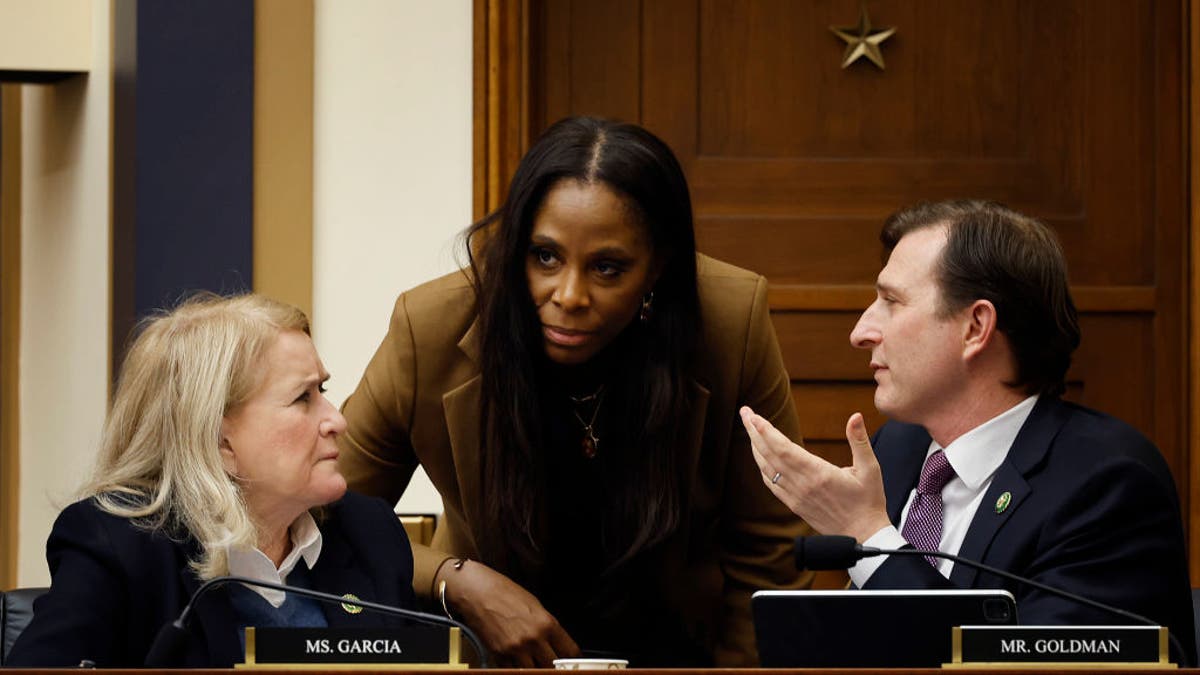 Weaponization of the Federal Government Subcommittee ranking member Del. Stacey Plaskett (D-VI) (C) talks with fellow subcommittee members Rep. Sylvia Garcia (D-TX) (L) and Rep. Daniel Goldman (D-NY) during their first hearing in the Rayburn House Office Building on Capitol Hill on February 09, 2023
