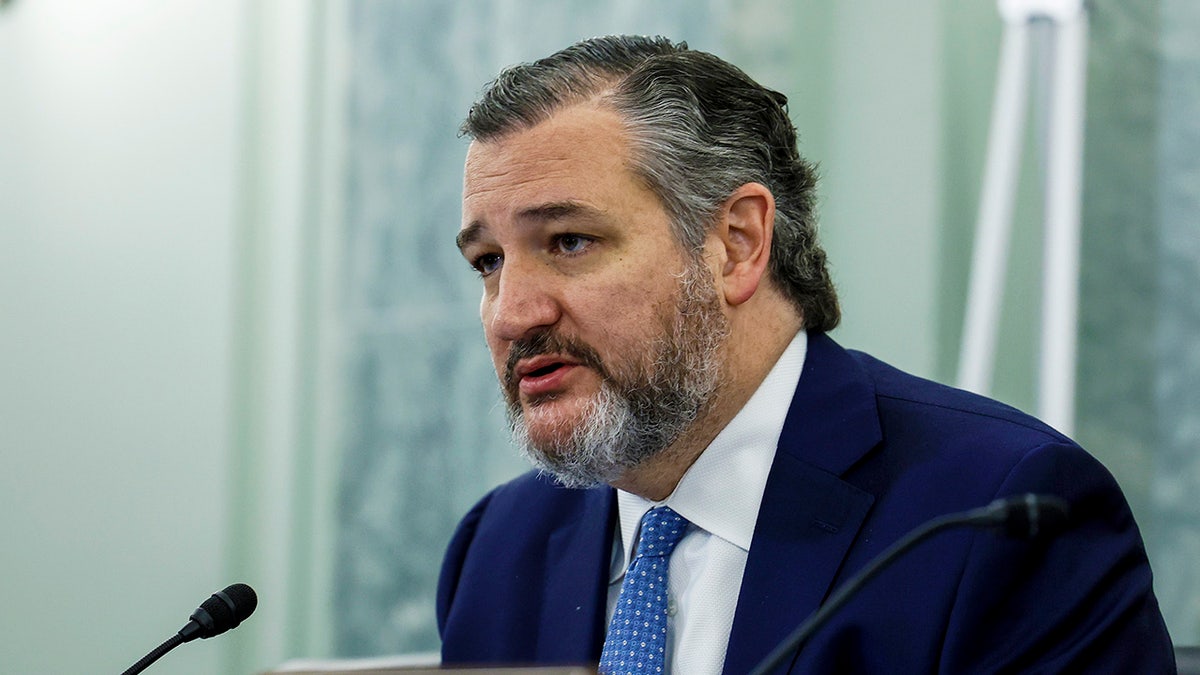 Ted Cruz at a Senate hearing