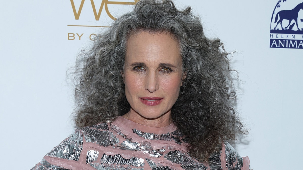 Andie MacDowell poses on the red carpet in a sparkly pink and silver dress and her infamous curls (now greying) at the Hollywood Beauty Awards