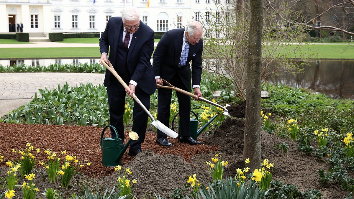 German President Frank-Walter Steinmeier and King Charles both lean over with shovels and dirt to plant a tree in honor of Queen Elizabeth