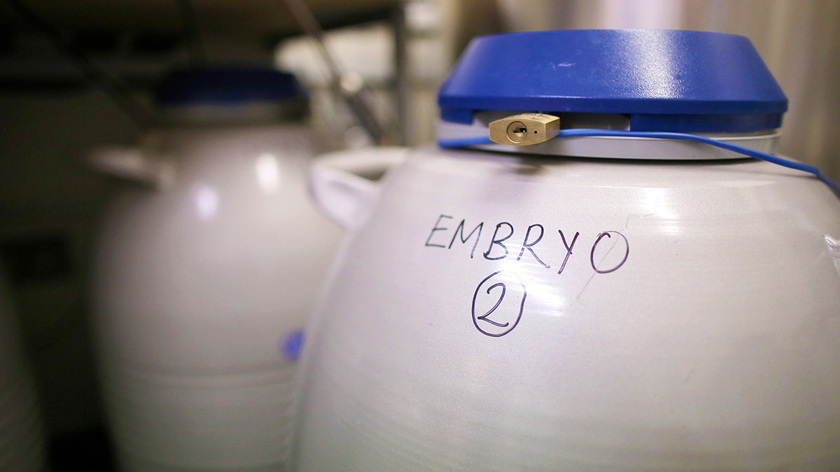 Fertilized embryos