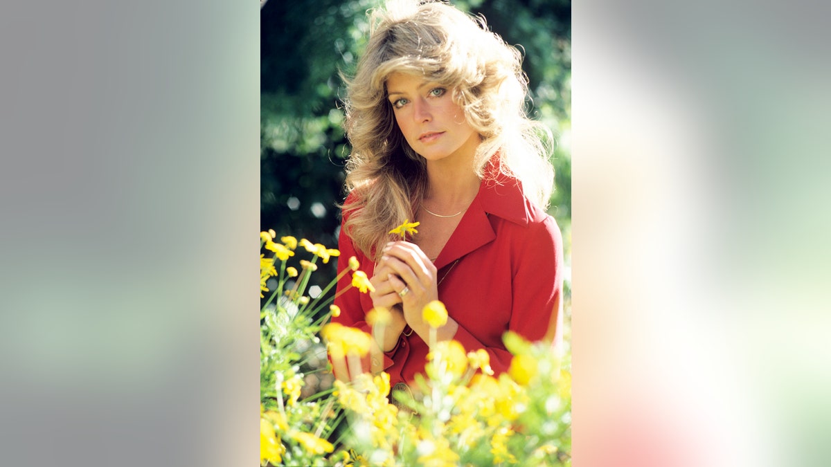 Farrah Fawcett wearing a red blouse while holding a yellow flower in a field